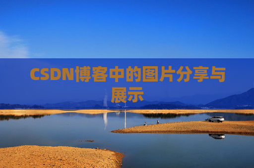 CSDN博客中的图片分享与展示
